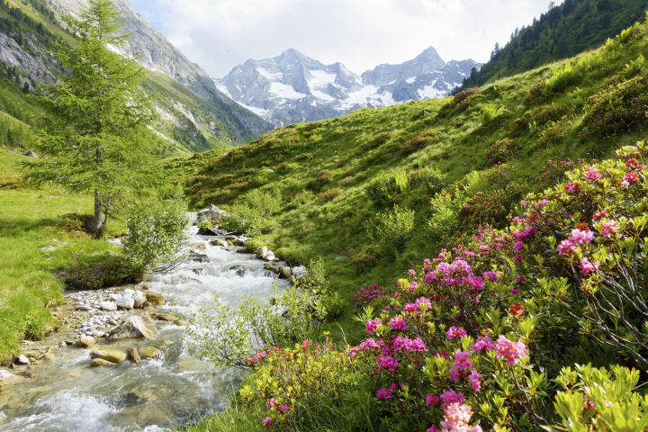 Urlaub in den Alpen die herrliche Bergwelt erkunden