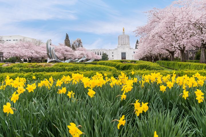 Best Places to Visit in March: Spring Break Travel Destinations & More