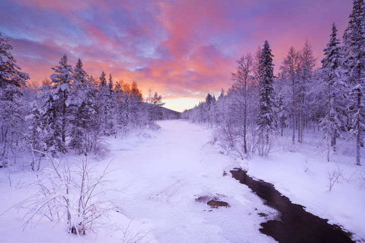 This secret spot in Lapland lets you watch the Northern Lights like nowhere else ✨? — GLOBAL — ERYU PROJECT