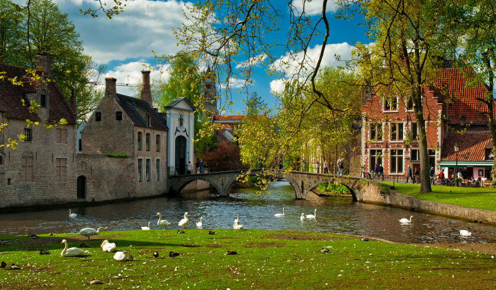 🇧🇪 Visita Flandes con WeRoad