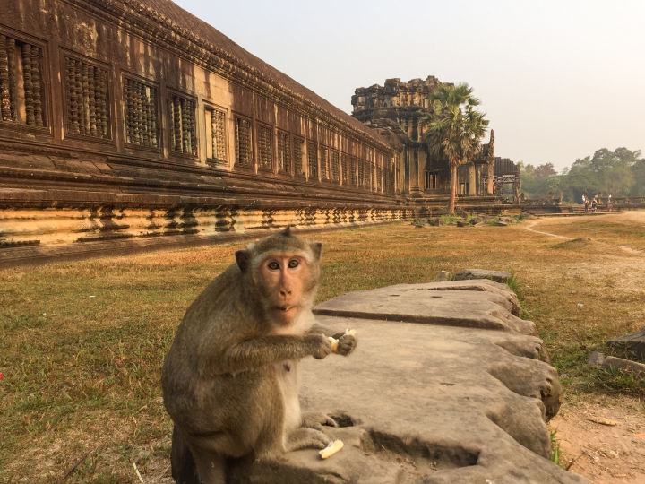 Günstige Flüge nach Kambodscha & Laos I Urlaubspiraten.de