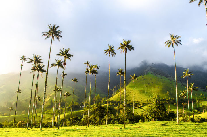 Vuelos a Colombia 🇨🇴 
