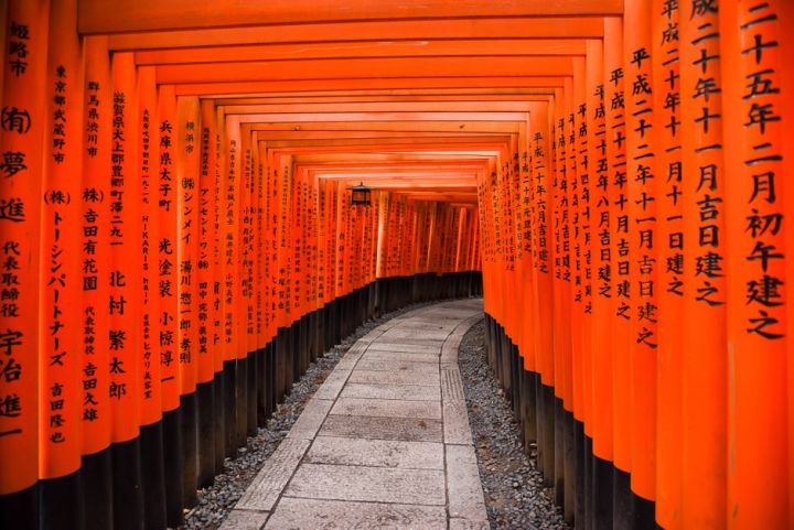 🎌 Circuito de 11 días por Japón 