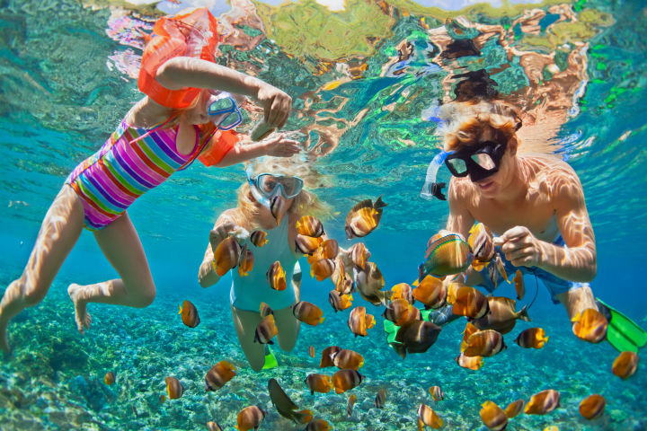 Vacaciones en Familia con Todo Incluido