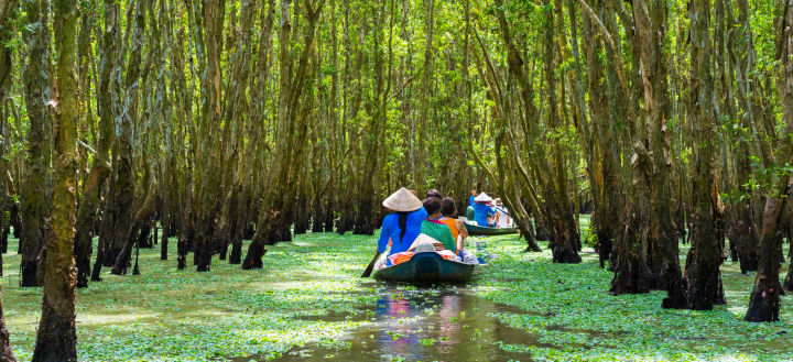 🌅 Vietnam and Cambodia 21-day escorted rail tour w/✈️ - Vimarsana News