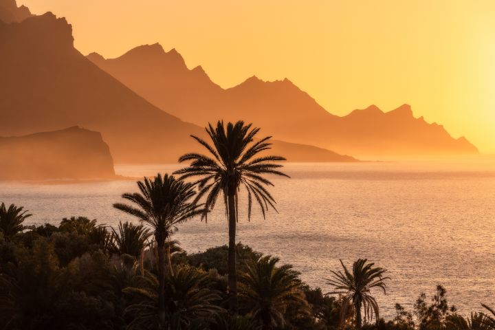Gran Canaria: Descubre la Isla de los Contrastes