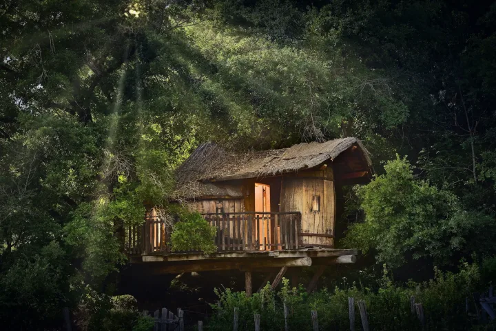 Cabañas para Conectar con la Naturaleza