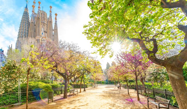 Cheap flights to Barcelona? — GLOBAL — ERYU PROJECT
