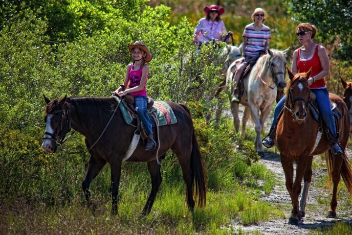 Florida Stay with a Ranch, Water Park & Rodeo | TravelPirates